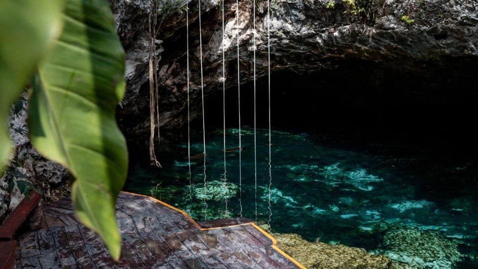 From Riviera: Kaan Luum With Cenotes & Lunch ECO - Exclusions and Restrictions