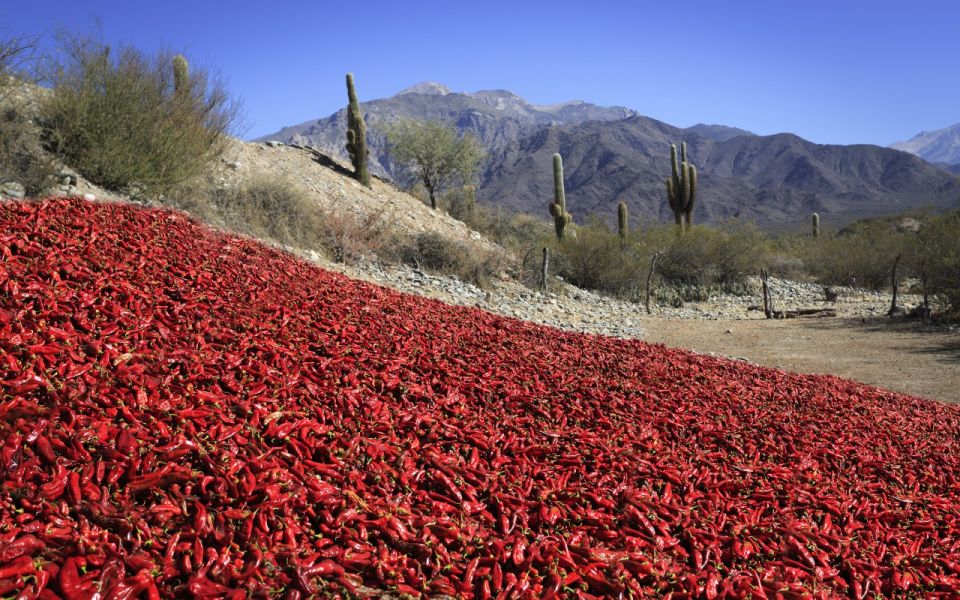 From Salta: Cafayate, Cachi, and Salinas Grandes in 3 Days - Additional Activities