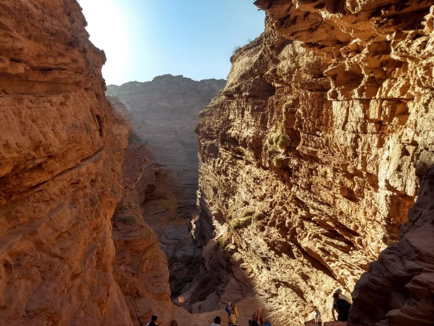 From Salta: Cafayate, Salinas Grandes, & Hornocal Tour - Preparation and Important Information