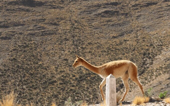 From Salta: Full-Day Tours of Cachi and Salinas Grandes - Nearby Attractions to Explore