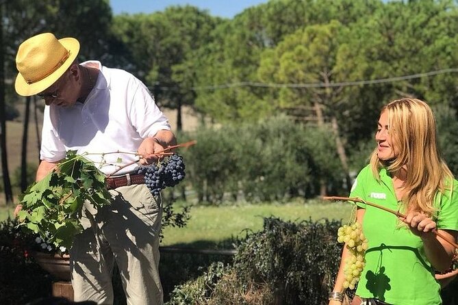 From Siena: Pienza and Montepulciano Wine Tour - Tips for Travelers