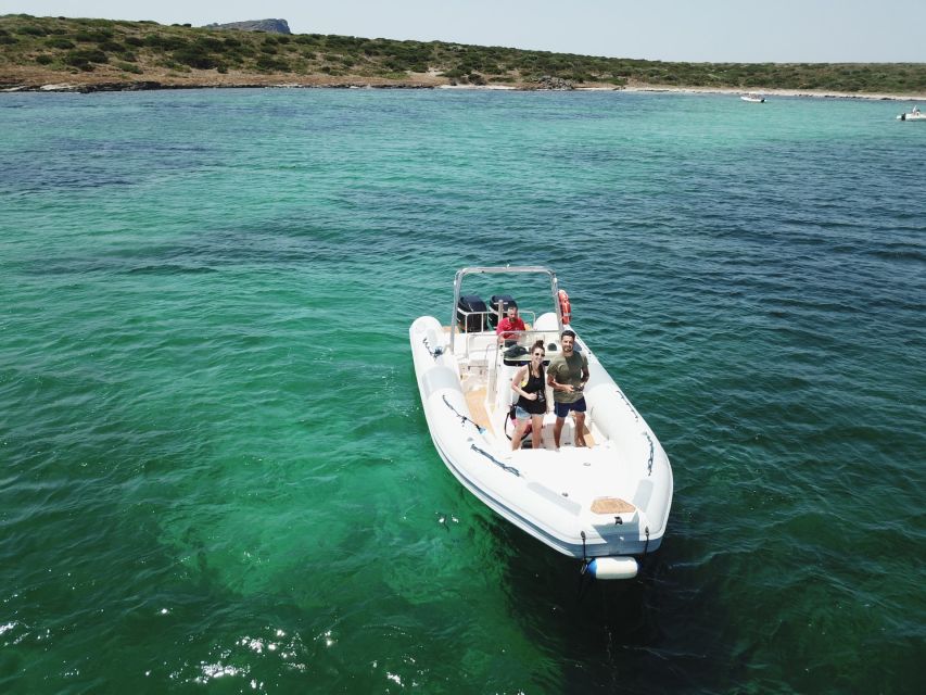 From Stintino: Half-Day Dinghy Tour in Asinara Gulf - Customer Feedback