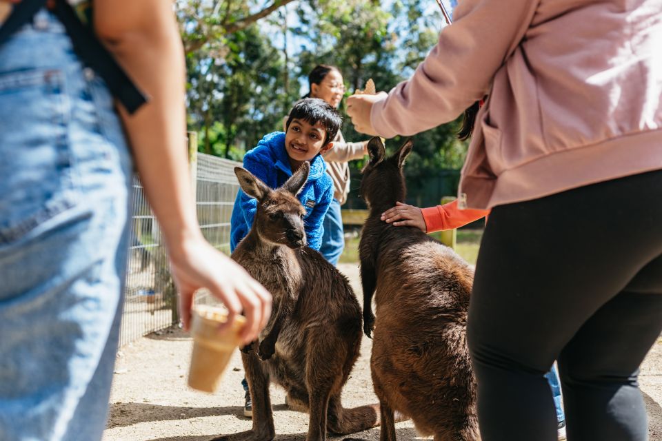 From Sydney: Blue Mountains Full-Day Trip - Recap