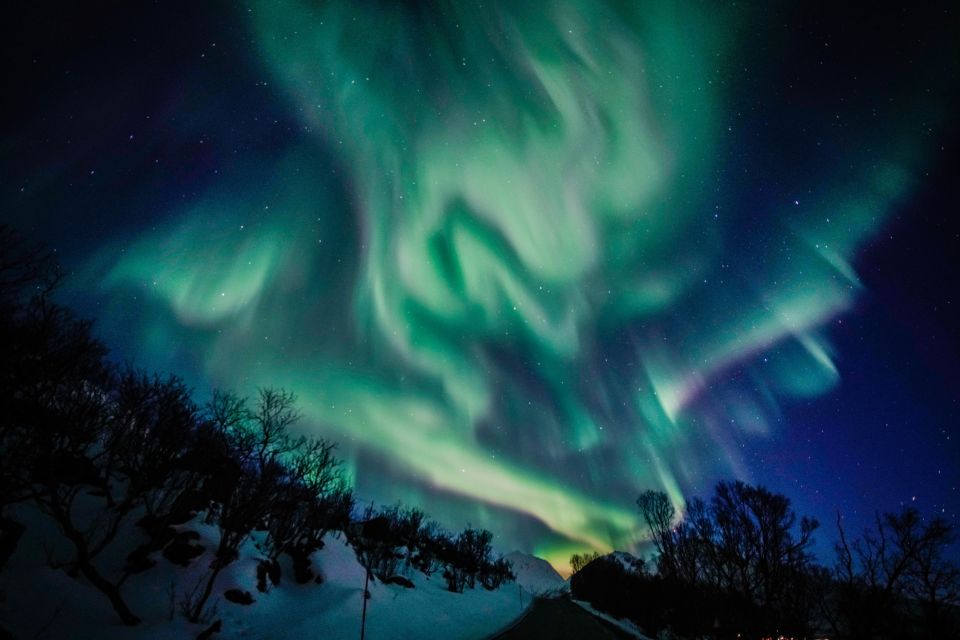 From Tromsø: Aurora Borealis Tour - Booking Information