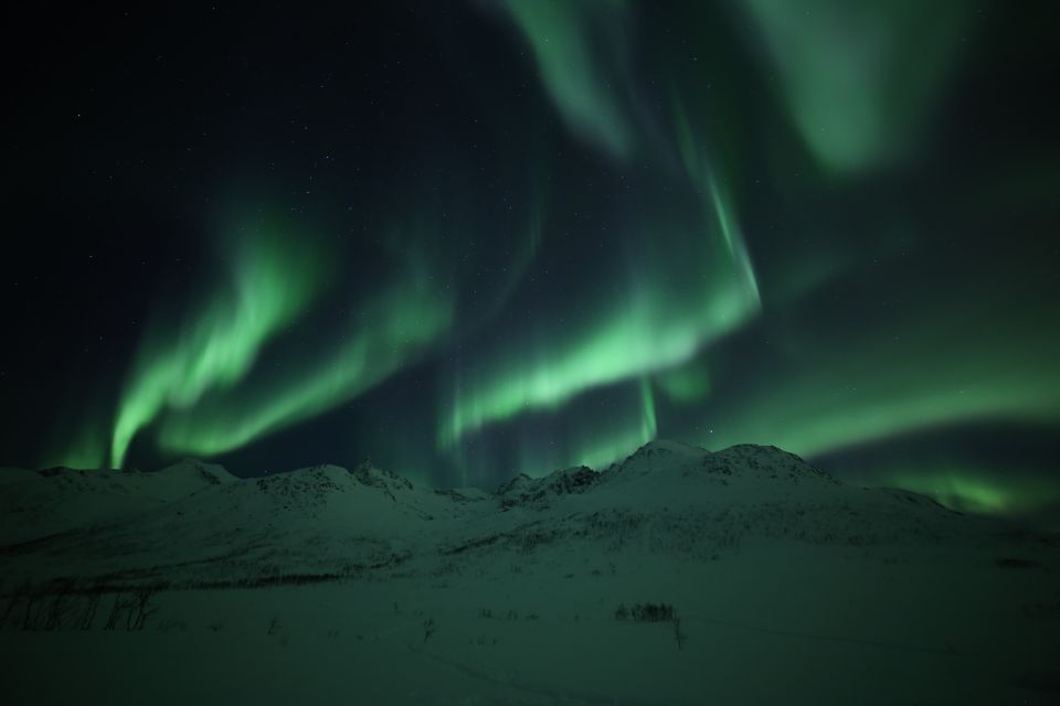From Tromso: Northern Lights Photography Tour - Booking Your Adventure