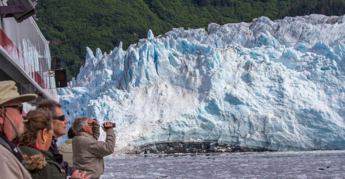 From Valdez: 7.5-hour Meares Glacier & Wildlife Cruise - Explore Prince William Sound