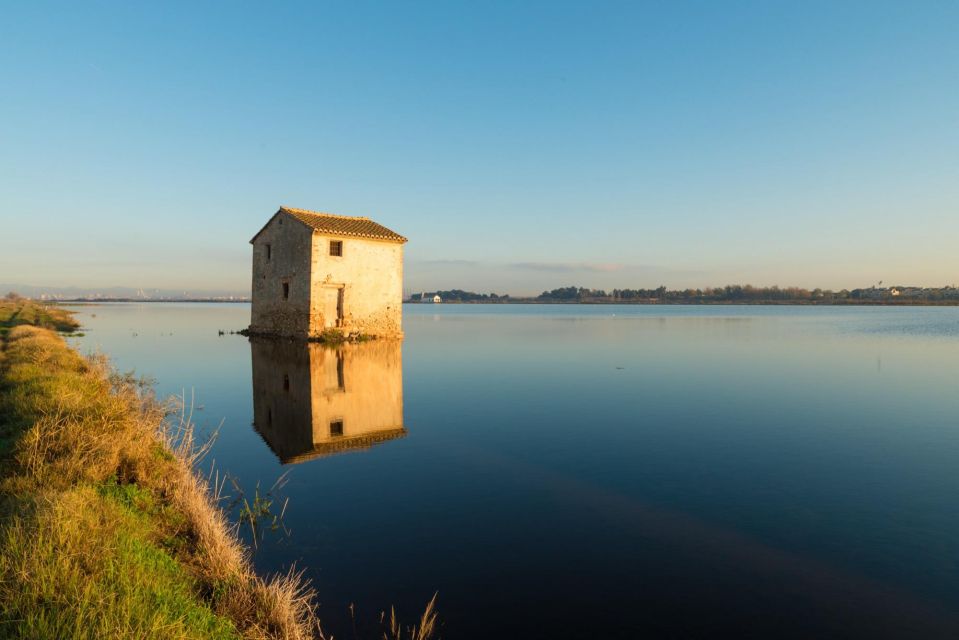 From Valencia: Albufera Private Tour, Paella & Boat Ride - Lunch and Paella