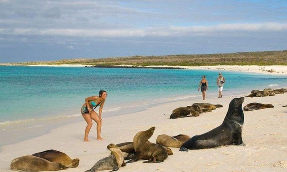 Full Day Leon Dormido and Lobos Island Tour - Tour Recap