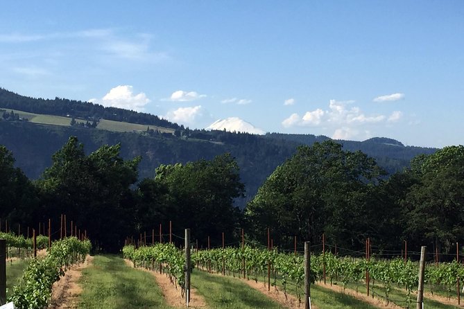 Full-Day Mt Hood Waterfall Tour With Lunch and Wine Included - What to Expect