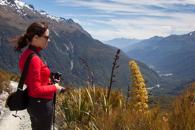 Full-Day Routeburn Track Key Summit Guided Walk From Te Anau - Preparing for Your Adventure
