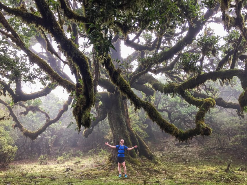 Funchal: Fanal Ancient Forest Running Tour - Outdoor Experience and Benefits