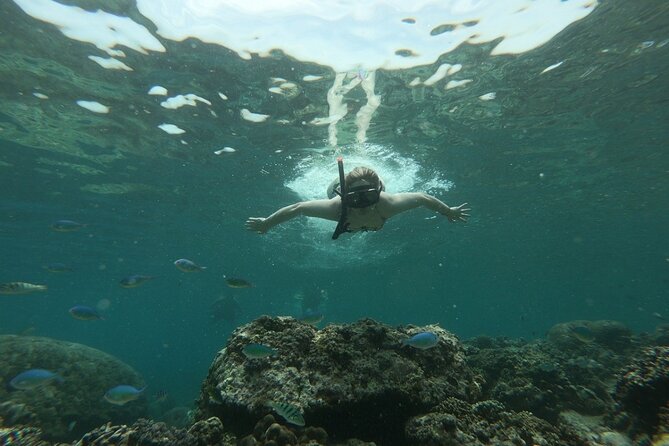 Gili Island Snorkeling Half Day Trip Departure From Gili Trawangan - Tips for a Great Experience