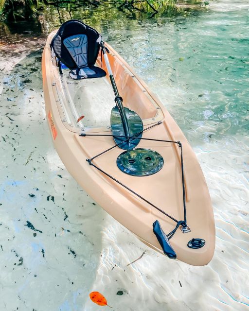 Glass Bottom Kayak Guided Tour: Silver Springs - Additional Information