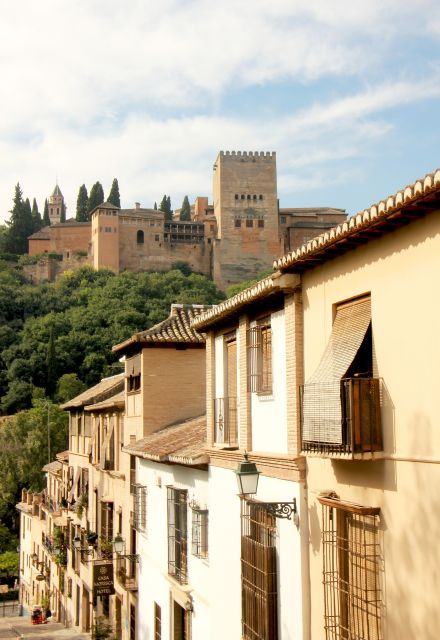 Granada - Historic Center Private Walking Tour - Language Options