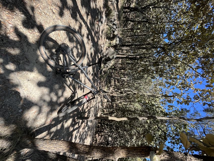 Guadalajara: 25-km Mountain Biking Tour of La Primavera Forest - Pricing and Availability