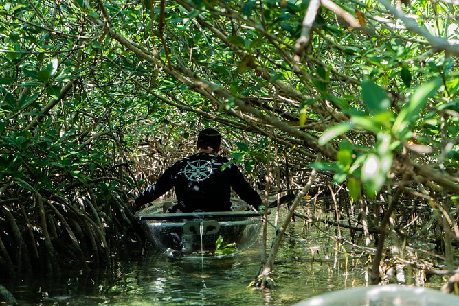 Guided Clear Kayak Eco-Tour Near Key West - Tips for a Successful Tour