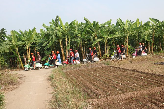 Hanoi Vespa Tour Explore Red River Delta & Rural Villages 5 Hours - Customer Reviews and Ratings
