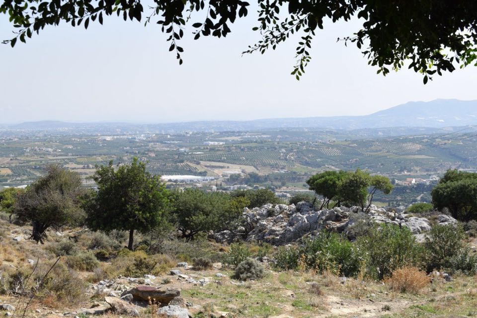 Heraklion: Authentic Greek Food Cooking Class - Booking Information and Tips