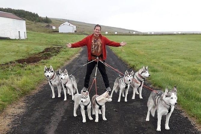Hiking With Husky in Akureyri (Private) - Tips for Your Adventure