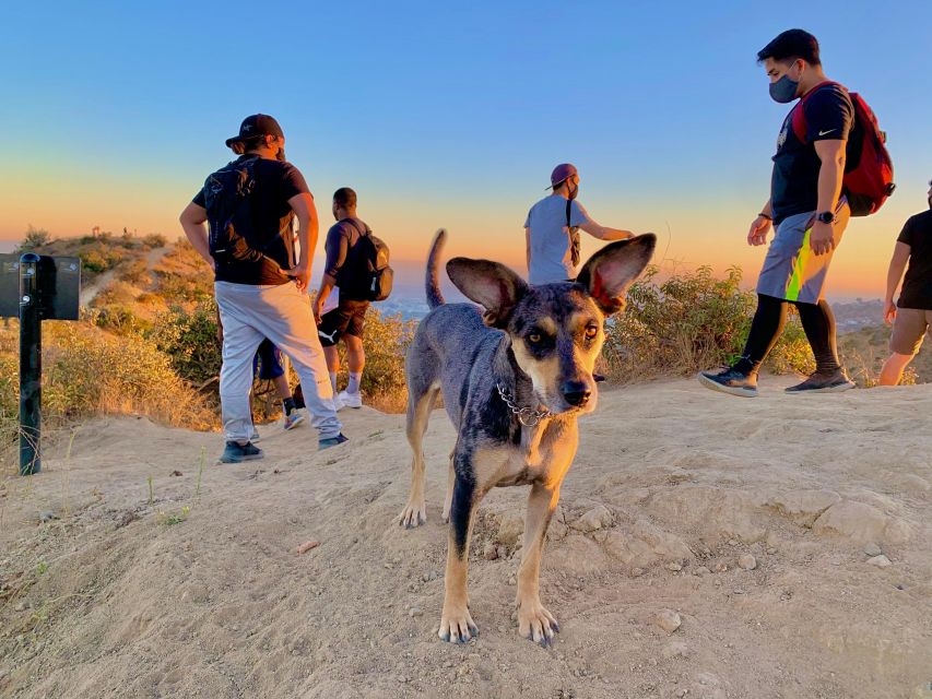 Hollywood: Walk of Fame & Hiking Tour With LA Skyline Views - Tour Limitations