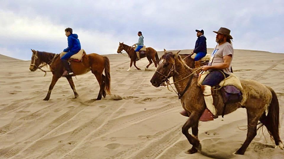Horseback Riding, Penguins, Winery, Alpacas & Cowboy BBQ - Customer Experiences and Feedback