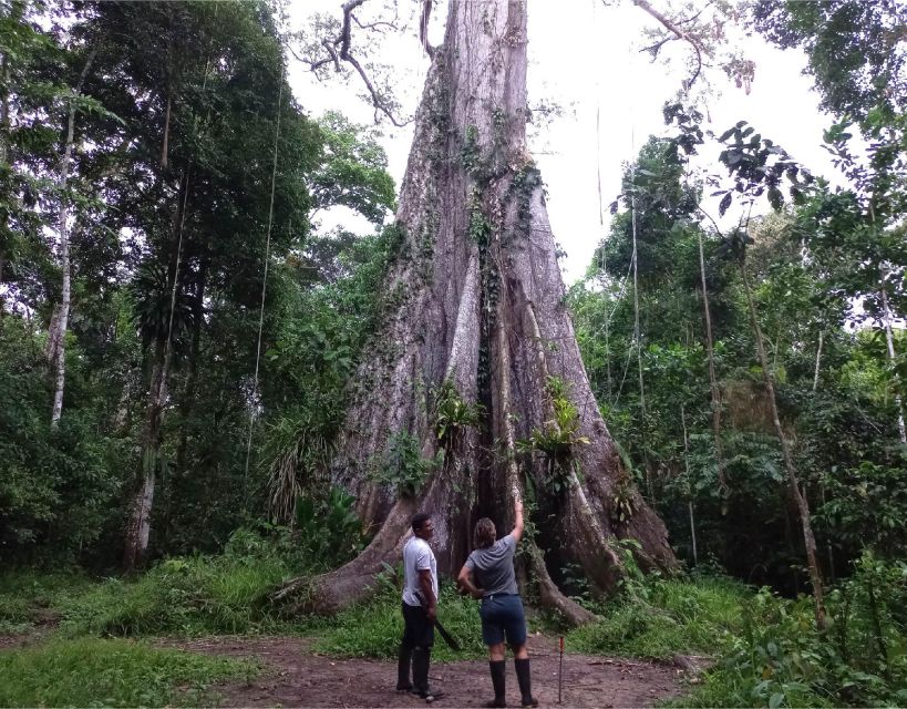 Iquitos: Adventure on the Black River (Yanayacu) | 4 Days - Cancellation and Reservations