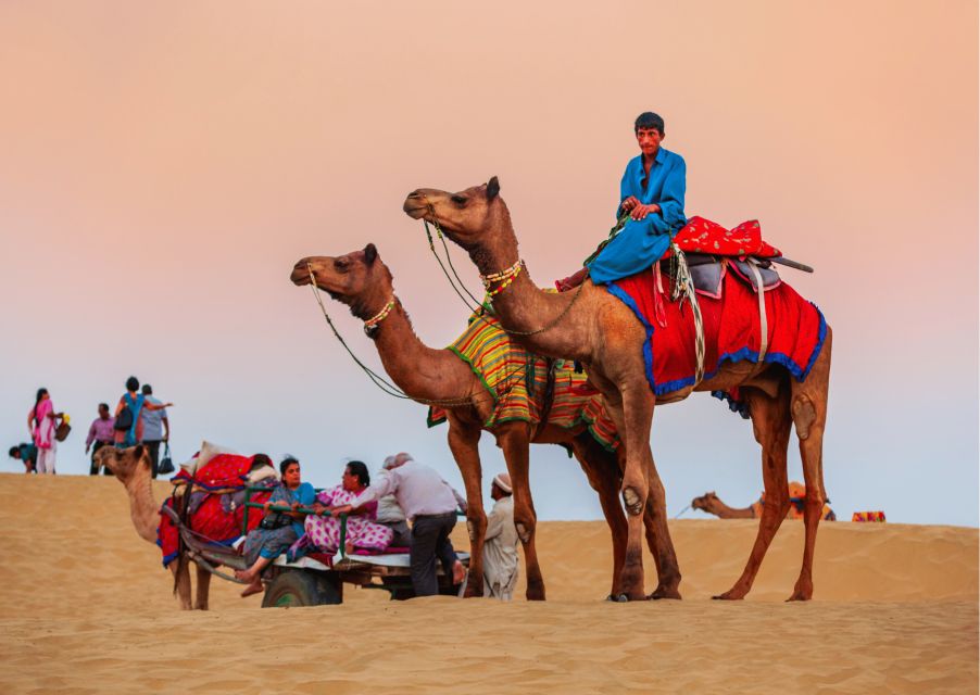Jaisalmer Desert Safari -Guided Half Day Sightseeing Tour - Booking and Cancellation Policy