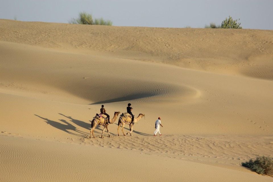 Jaisalmer: Luxury Camping in the Desert - Booking Information