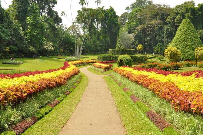 Kandy City Tour With Mahaweli - Customer Reviews