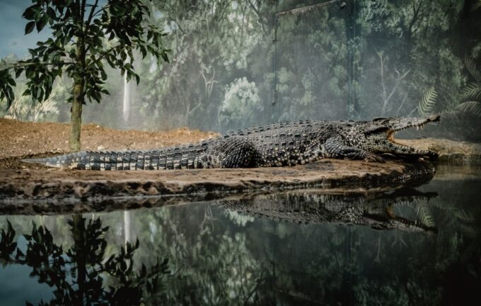 Kathmandu: 3-Day Wildlife, Culture and Jungle Safari Tour - Booking Information