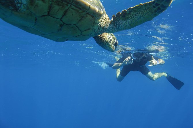 Kauais Ultimate South Island Zodiac Boat Snorkel Adventure - Guest Reviews and Feedback