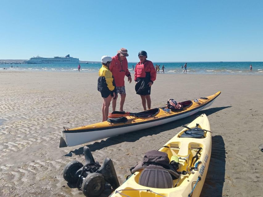Kayaking Adventure in Puerto Madryn - Frequently Asked Questions