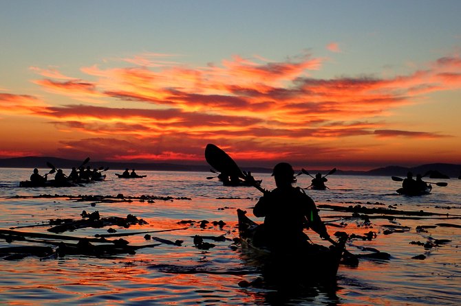 Kayaking in Deception Pass State Park - Preparing for Your Adventure