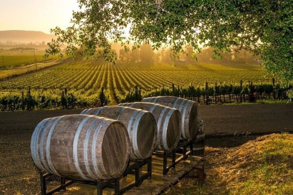 Kefalonia: Private Wine Tasting With Vineyard Tour - Tips for Enjoying Your Tour