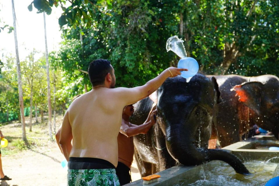 Koh Samui: Half-Day Ethical Elephant Sanctuary With Mud Spa - Booking Information and Reminders