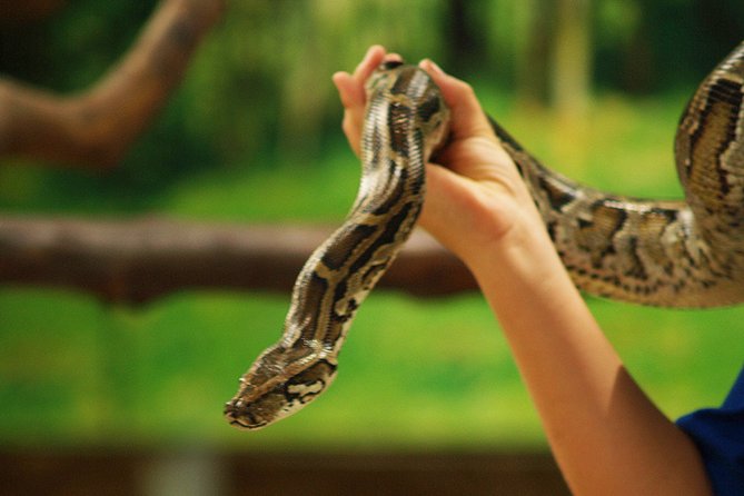 Koh Samui Jungle Safari Eco Tour (Include Lunch) - Booking Your Jungle Safari