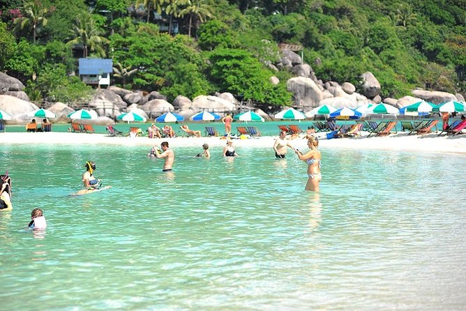 Koh Tao & Koh Nangyuan by Speed Boat (Snorkeling Trip From Koh Samui) - Tips for a Great Experience