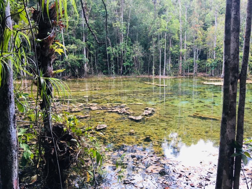 Krabi: Emerald Pool and Hot Springs Waterfall Half-Day Trip - Restrictions and Age Requirements