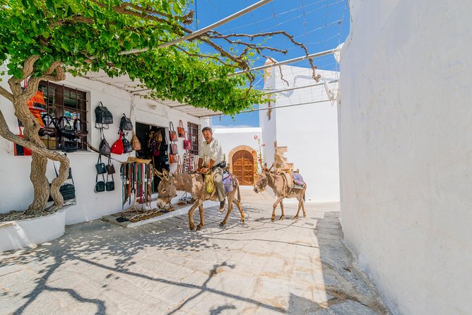 Lindos by Express MiniBus (Small Group) - Confirmation and Booking Information