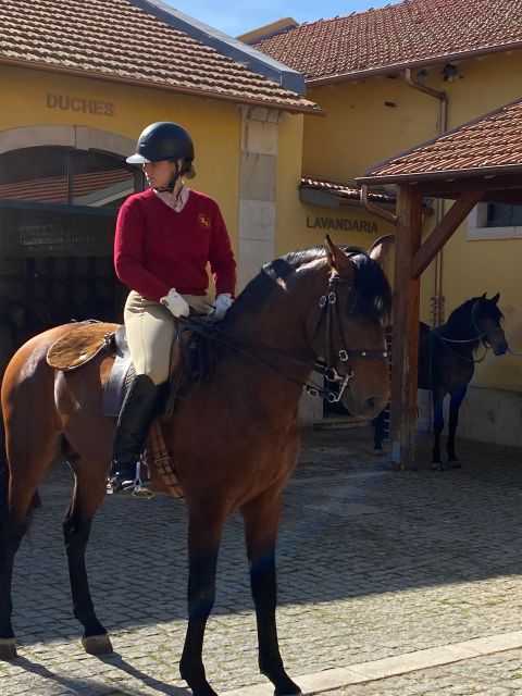 Lisbon: Morning of Equestrian Art With Lusitano Horses - Booking Instructions