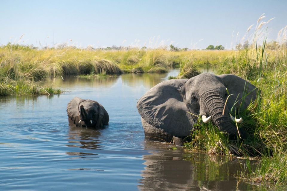 Luxury Chitwan Jungle Safari 4 Days Tour - Travel Tips and Recommendations