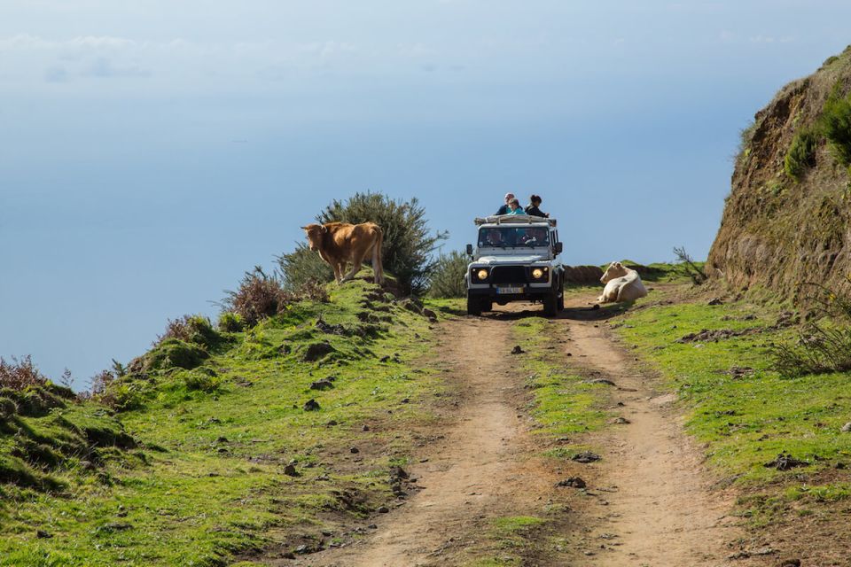 Madeira: Amazing West - Porto Moniz - Booking