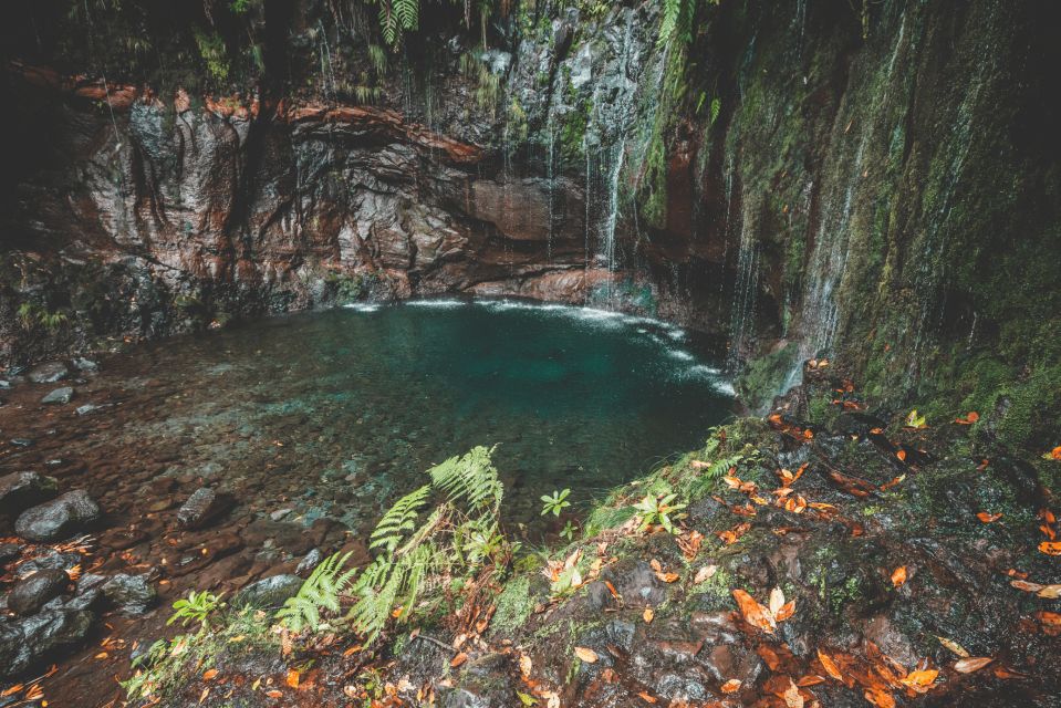 Madeira: Ribeiro Frio Valley and the 25 Fountains Hike. - Safety Precautions