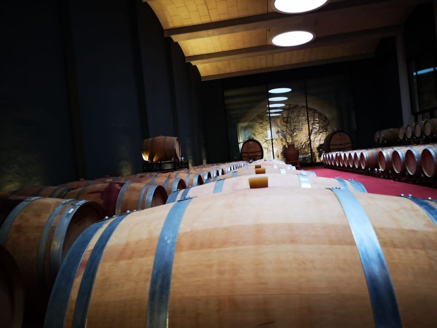 Mallorca: Full-Day Winery Small Group Tour - Experience Highlights