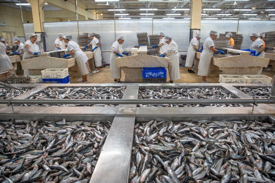 Matosinhos: Conservas Pinhais Factory Tour - Getting There