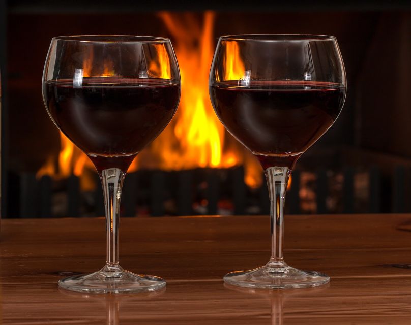 Mendoza: Argentinean Asado With Local Host and Wine Tasting - Customer Feedback