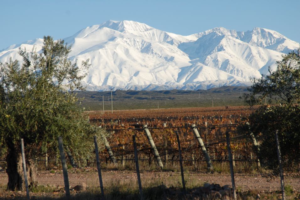 Mendoza: Full Day Wine Tour With 3 Course Lunch - Tips for Your Visit