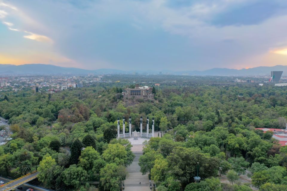 Mexico City: Chapultepec Park Bike Experience - Park Exploration