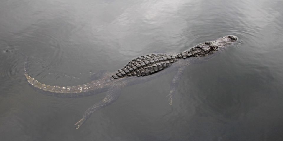 Miami: Small Group Everglades Express Tour With Airboat Ride - Getting There