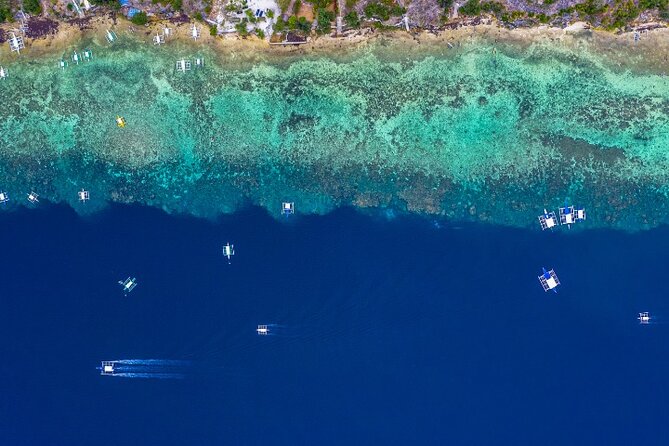 Moalboal Sardines Run Private Tour - Tips for a Great Experience